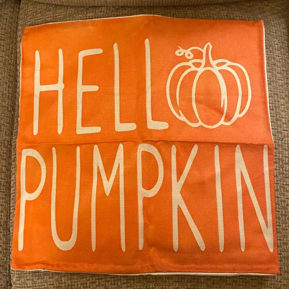 Nwot Pillow Cover